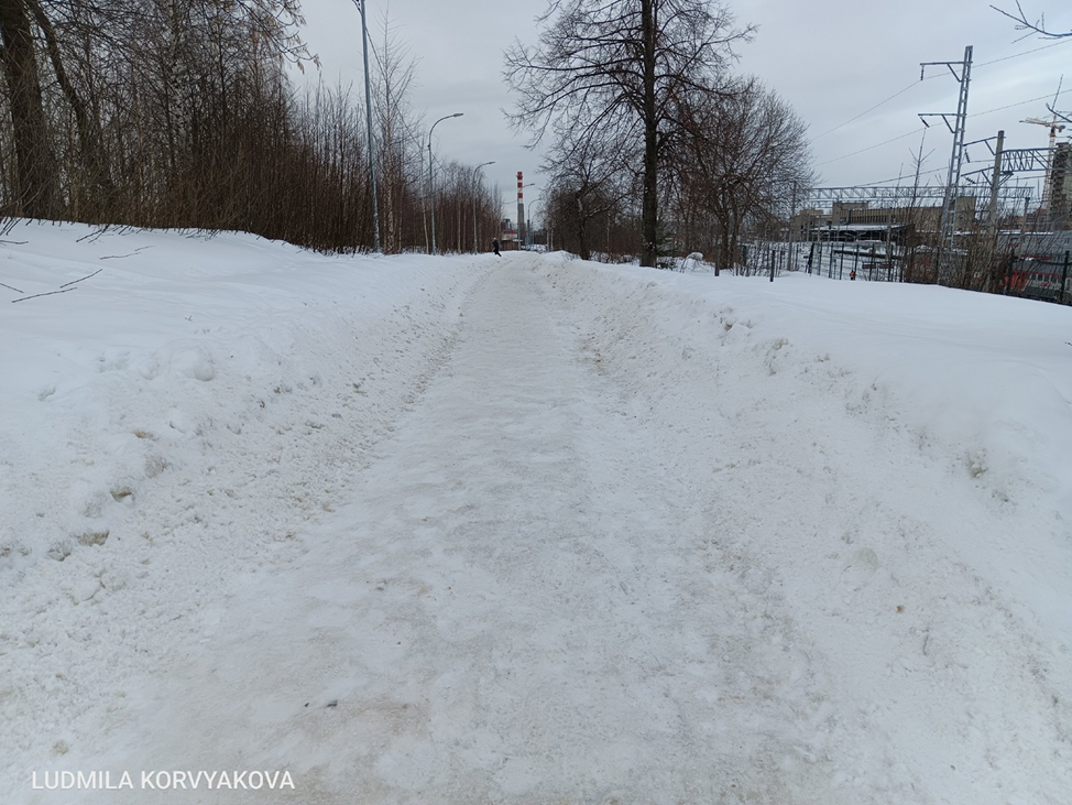    Петрозаводск почистили от снега, но тротуары остались скользкими Людмила Корвякова