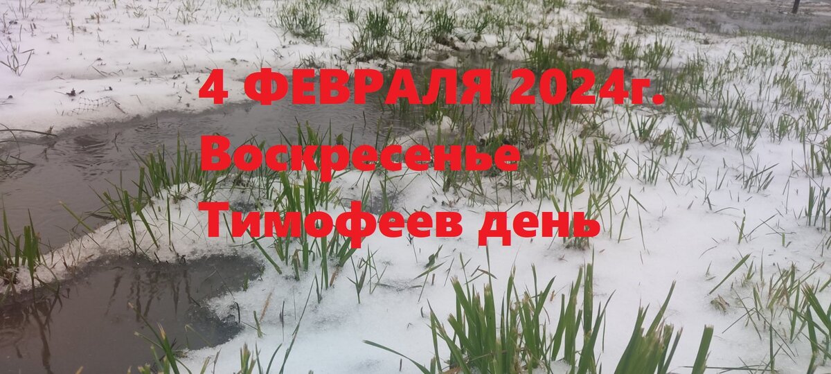 с новым годом поздравления красивые. какого числа рождество в 2024г. икона навечерие рождества христова рождественский сочельник. с рождеством христовым 2023. рождество в россии.