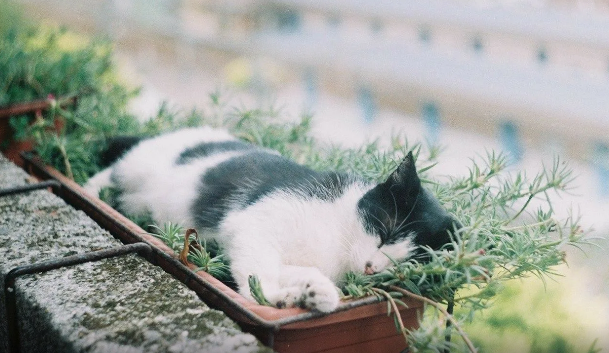 Иди отдохни мем. Цитаты про отдых. Немного отдохнем. Отдохни немного. Хорошо иди отдыхай.