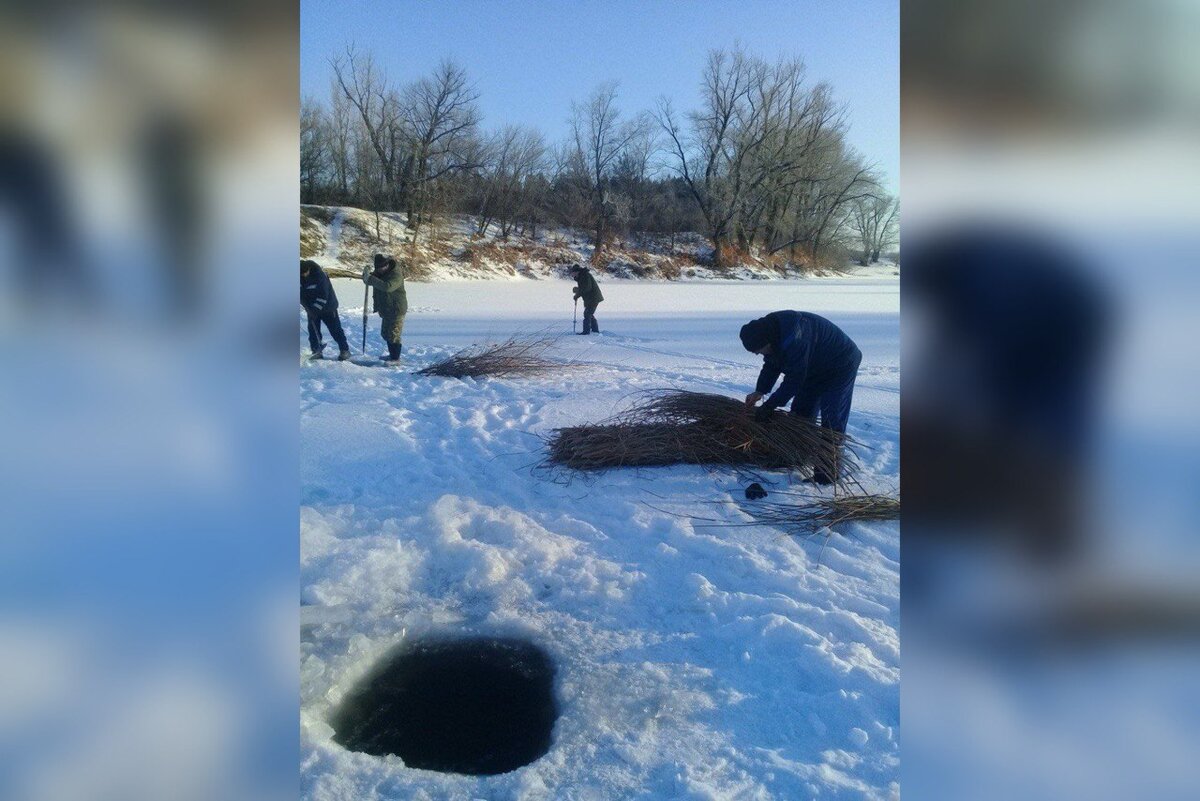    В Оренбуржье стартовала ежегодная экологическая акция «Глоток воздуха» Марина Шарт