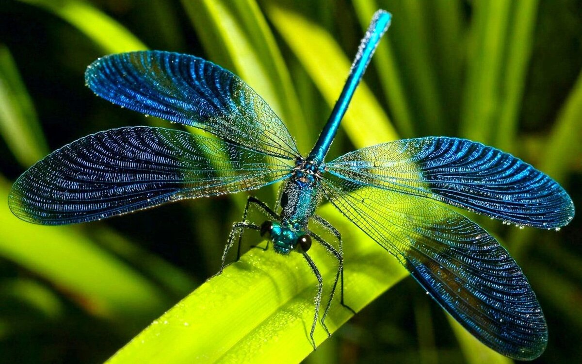 Взято из открытых источников