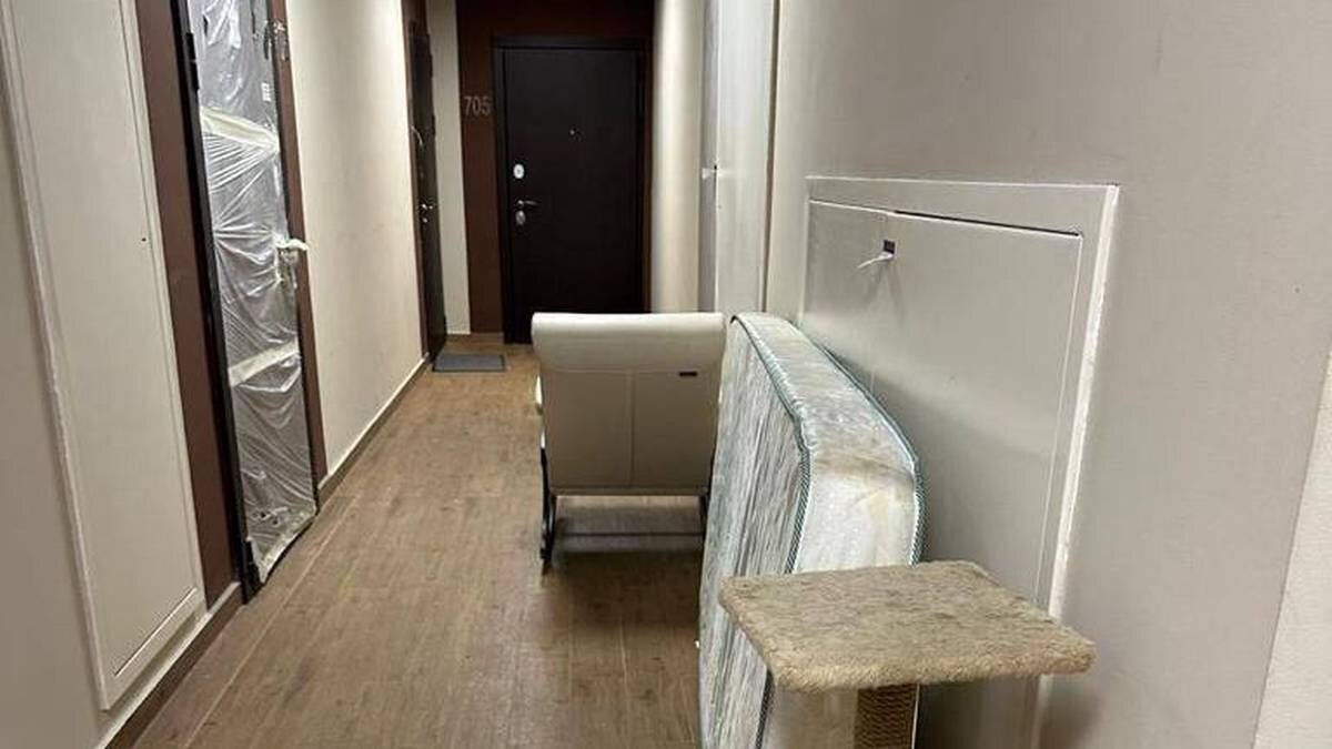 Интерьерные домики для кошек. Почему кот не живет дома. Много животных в квартире. Много котов в квартире. Много кошек в квартире.