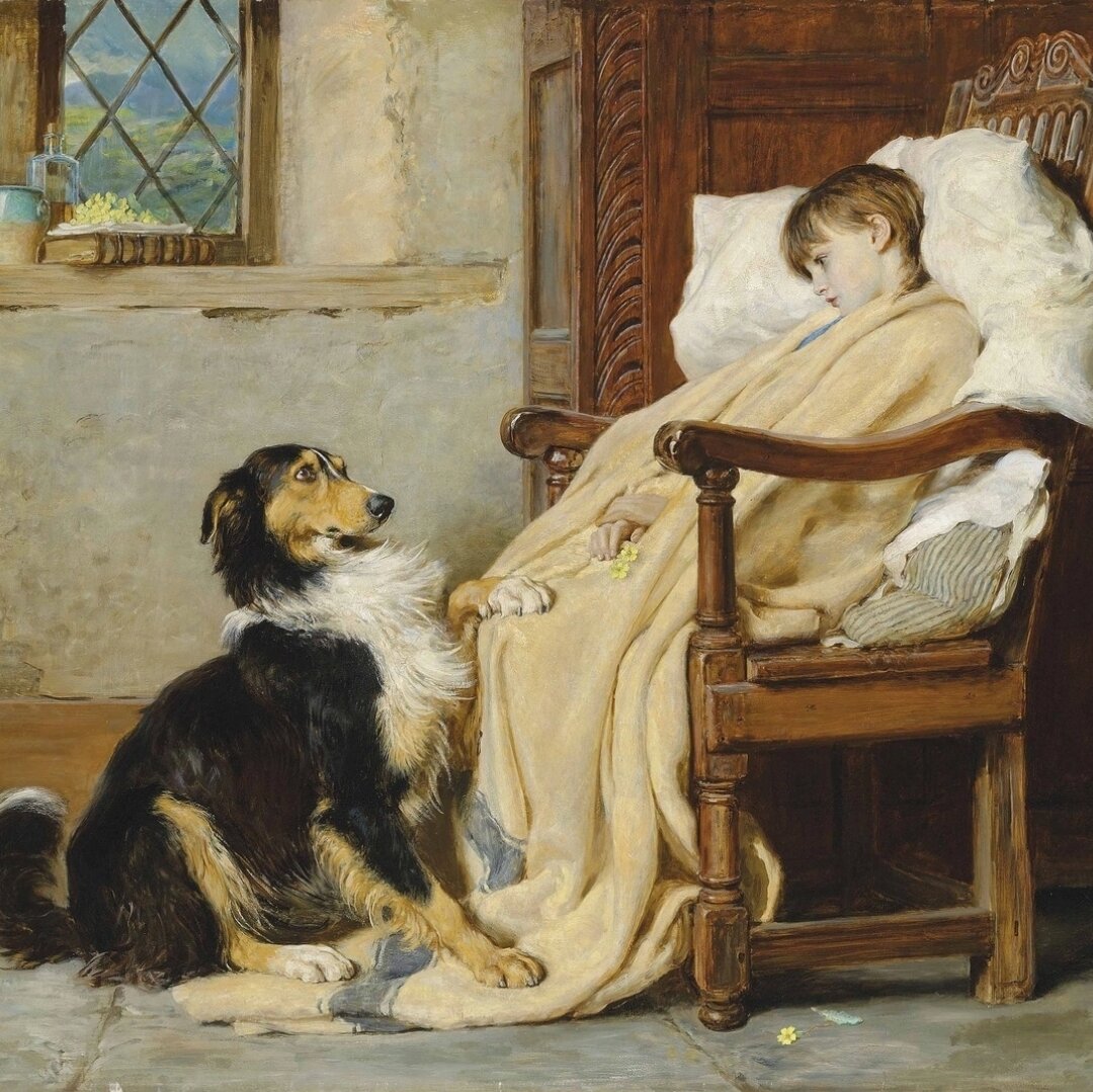 собачья преданность вывод. синоним к слову верность и преданность. синоним к слову преданность. как пишется слово преданность.