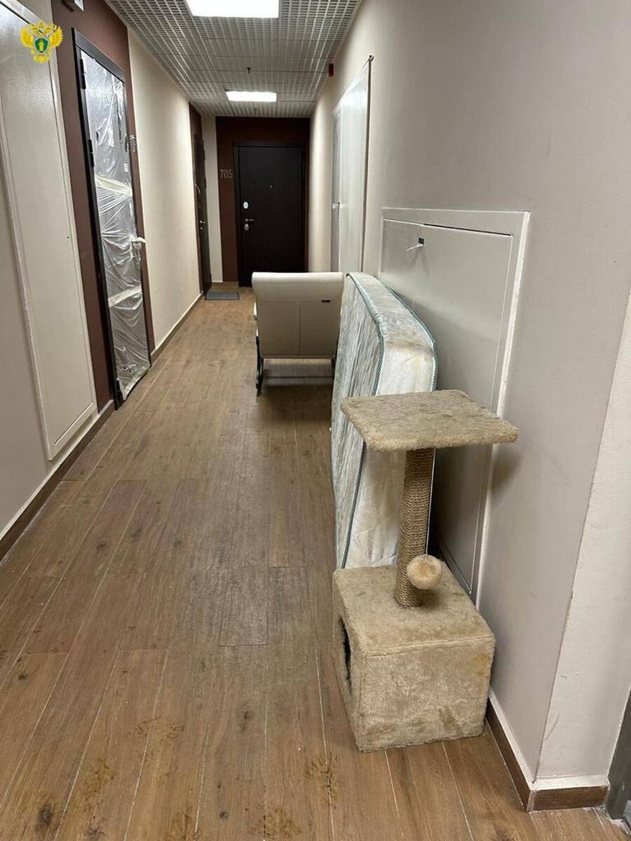 плохой сон. сонное лицо девушки. спящий человек. улицы лица лица не спится. кузина татьяна игоревна.