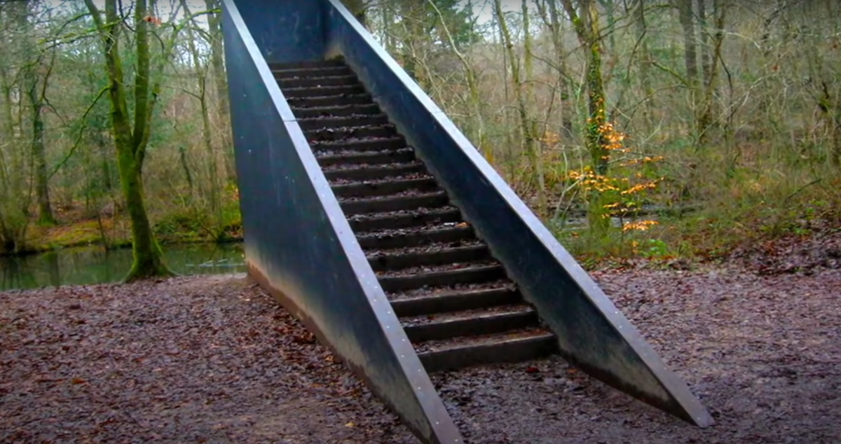 Загадочная лестница в лесу . Фото 1