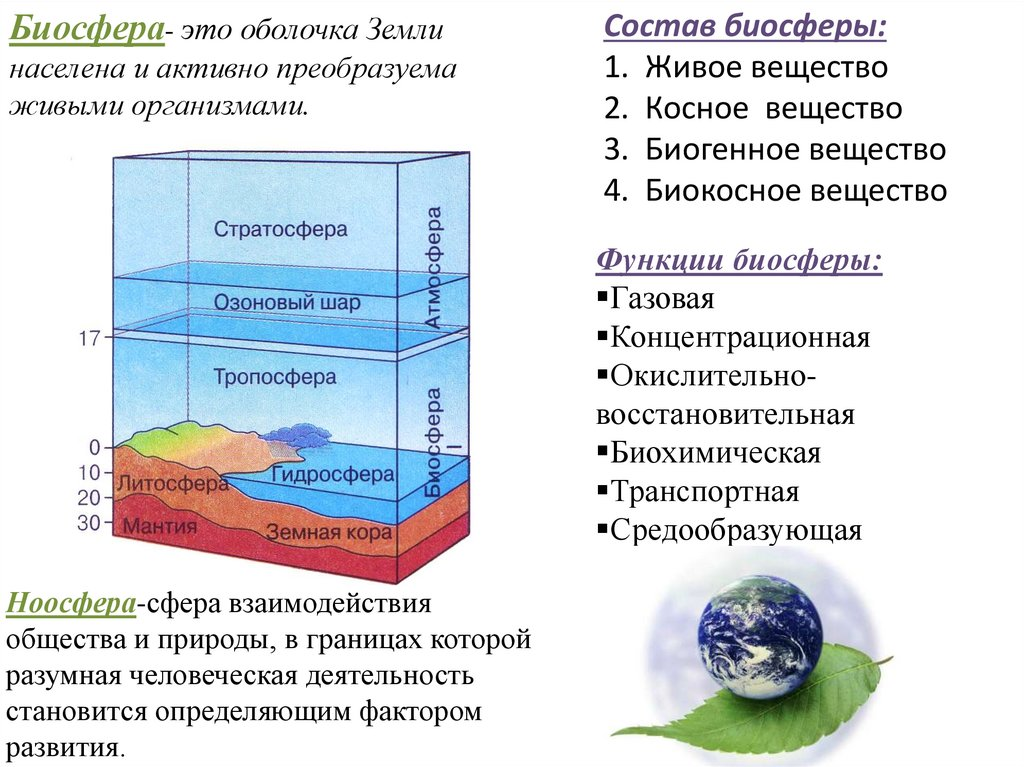 Состав биосферы 6 класс география. Структура биосферы. Биосфера строение биосферы. Биосфера схема. Строение биосферы земли.