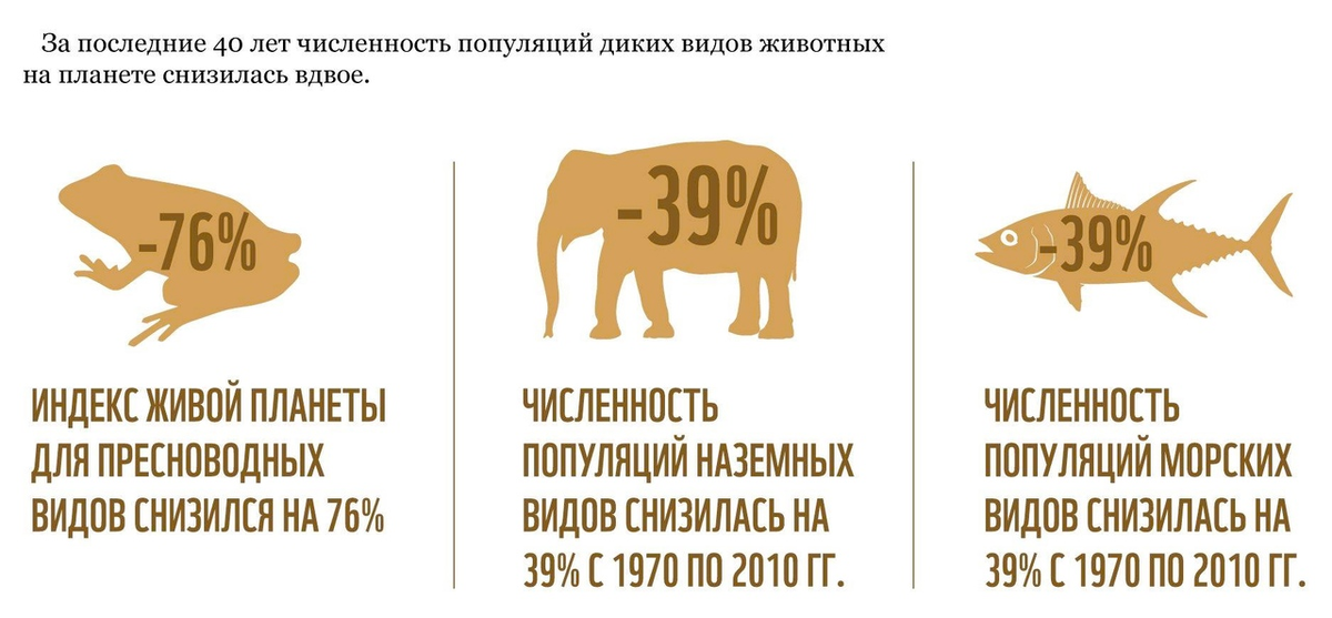 Сколько всего животных в мире. Численность животных. Сокращение видов животных. График вымирания животных. Числа в виде животных.