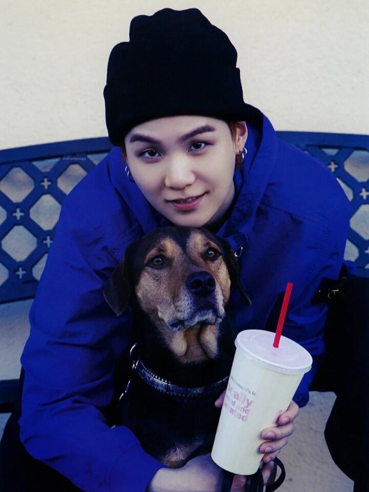 я очень завидую пёсику)))