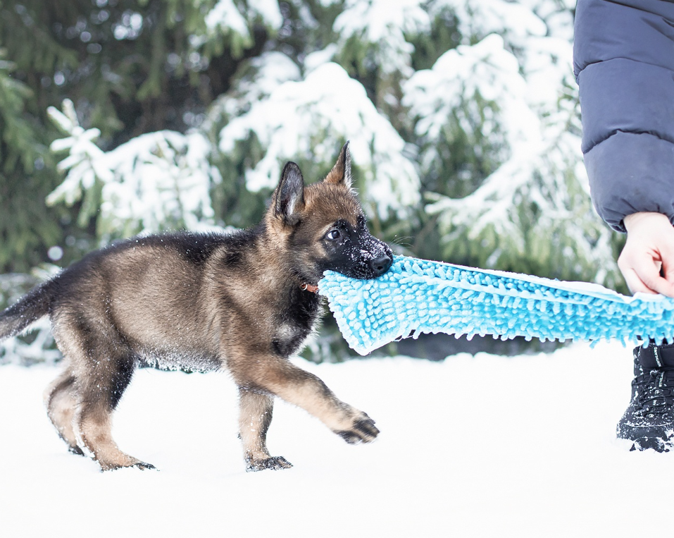 фф хозяин раб