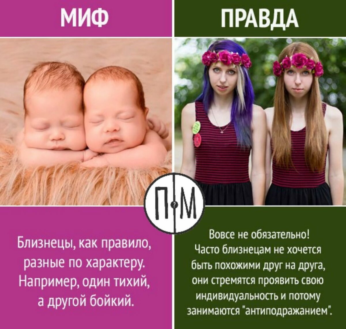 Близнецы и двойняшки разница простыми словами