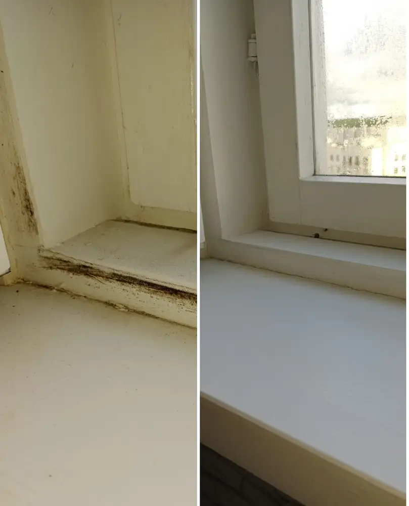 C'è una patina nera o verdastra sulle giunture e c'è un odore sgradevole nella stanza? Un segno sicuro che c'è della muffa in casa.-3