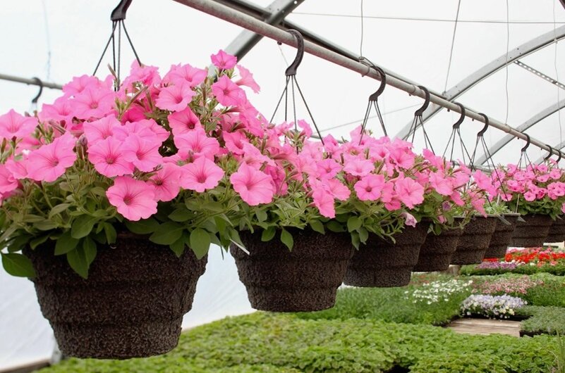 Фото https://yandex.ru/images/