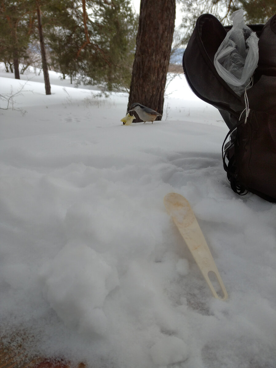 Туристическая сельская усадьба агротуризм. Мирский замок. Куда можно съездить с ребенком на выходные. Агротуризм на кубани. Замки белоруссии на машине.