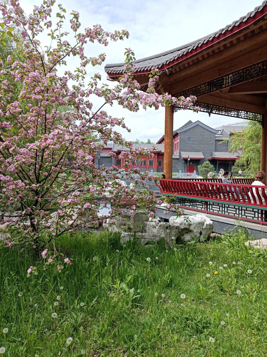 Кусочек Китая в Москве