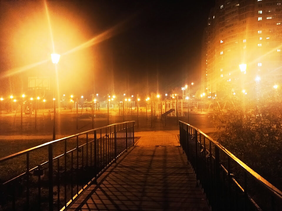 (фотография автора)