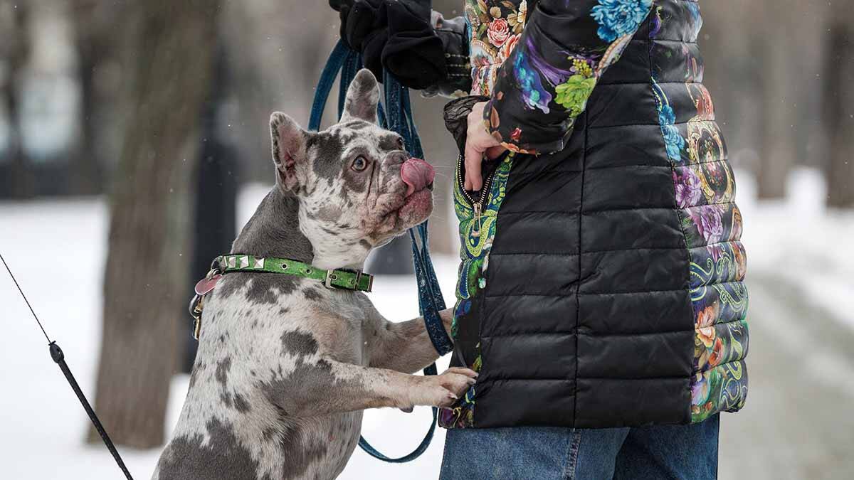Что делать если стоит. Проблема не стоит что делать. Что делать если не стоит. Никогда не стоит делать выводы о человеке исходя из чужого мнения. Что делать с проблемами.
