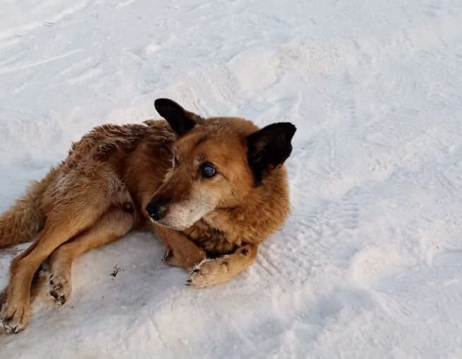 томаш ален копера картины любовь. картинки о душе. бог в небе. каждая спасенная душа. картины алан томаш копера.