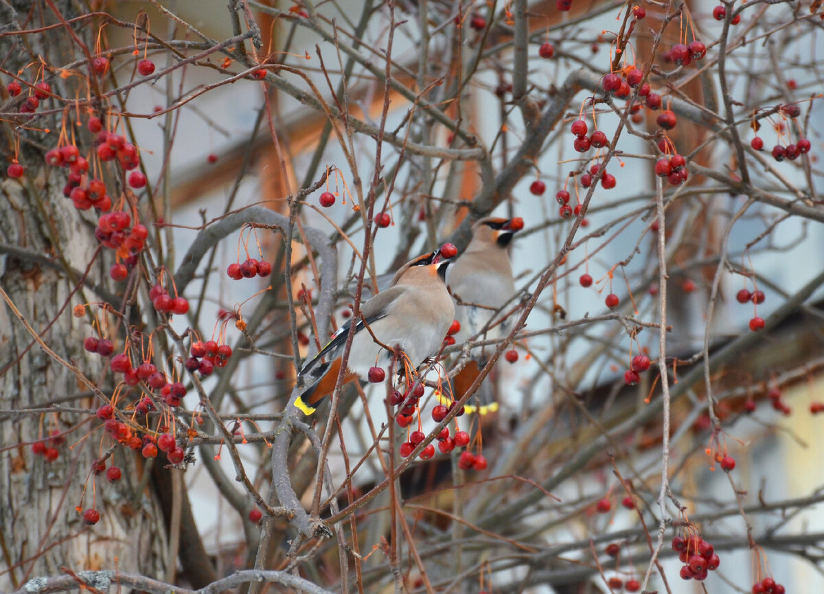 обещал, не будет встречаться