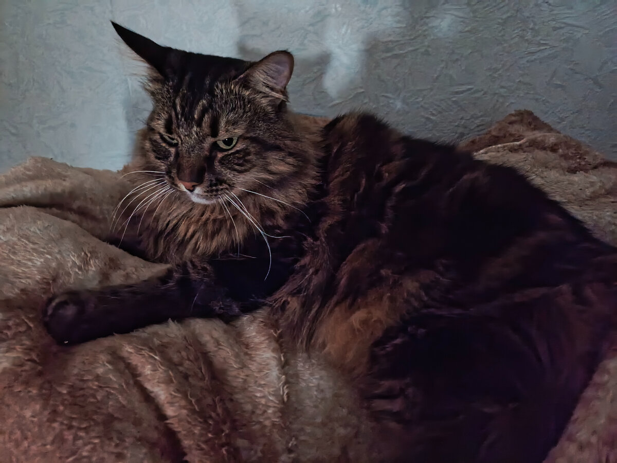 Царь не доволен