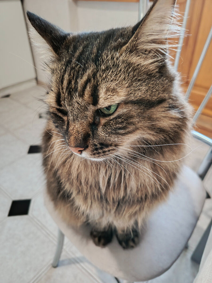 Мой вид, когда что-то запрещают.