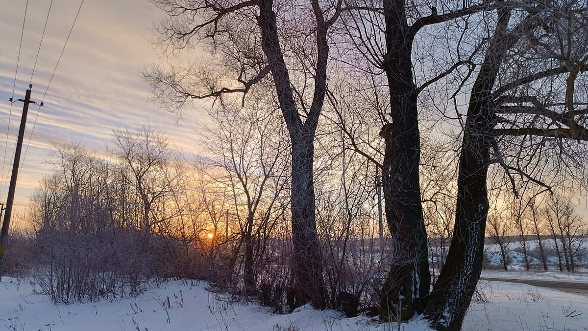Школьная улица. С. Тургенево