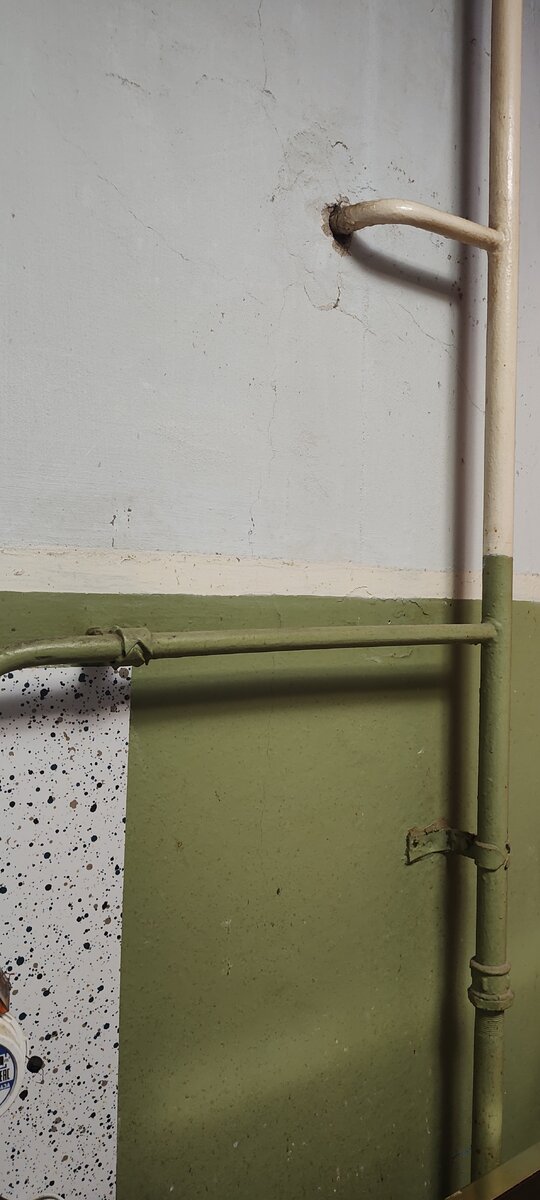 Декоративный забор от соседей. Необычный забор. Необычный деревянный забор. Как скрыть некрасивую. Плющ вечнозеленый уличный.