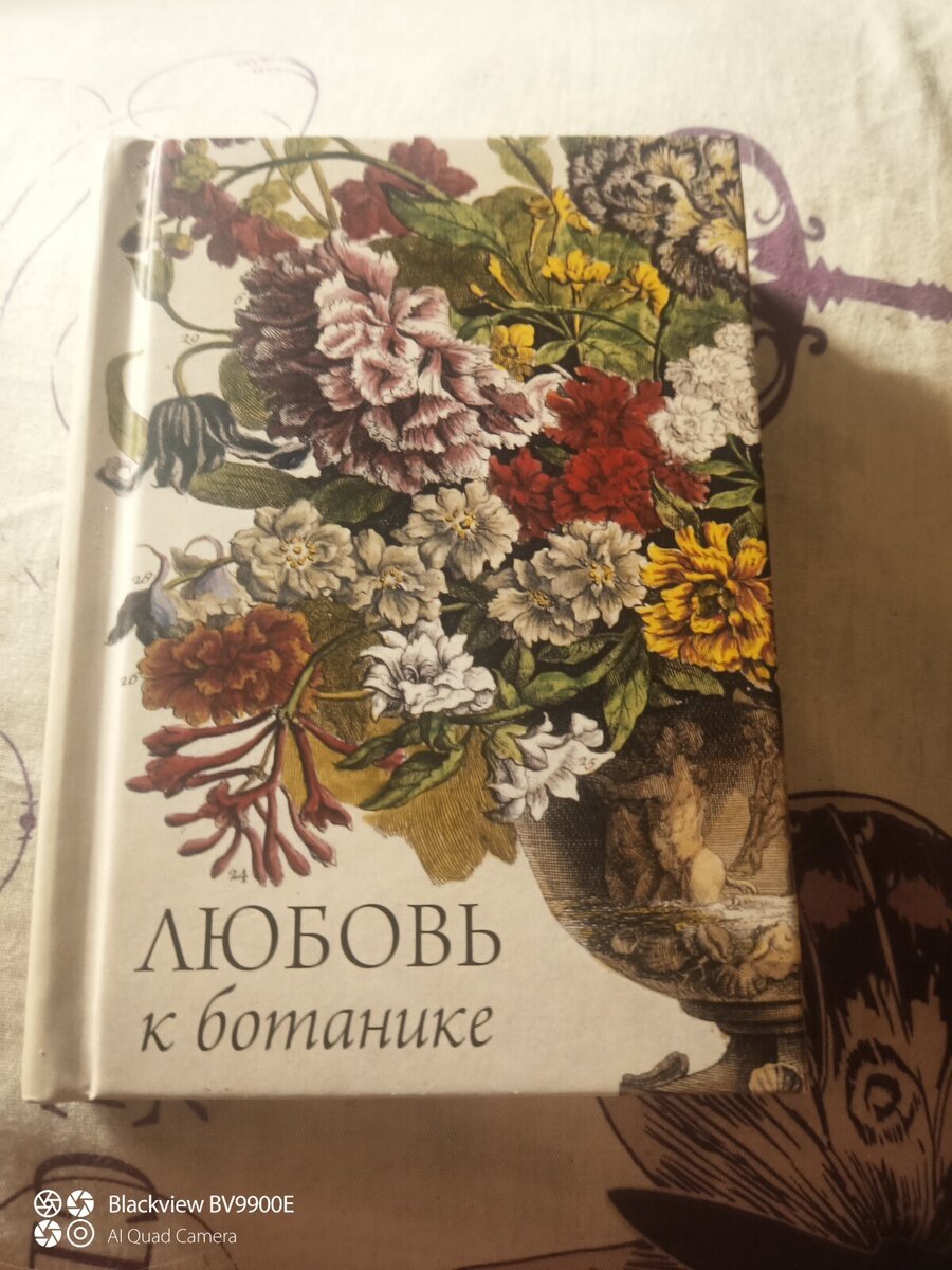 Книга. На самом деле лучший подарок.