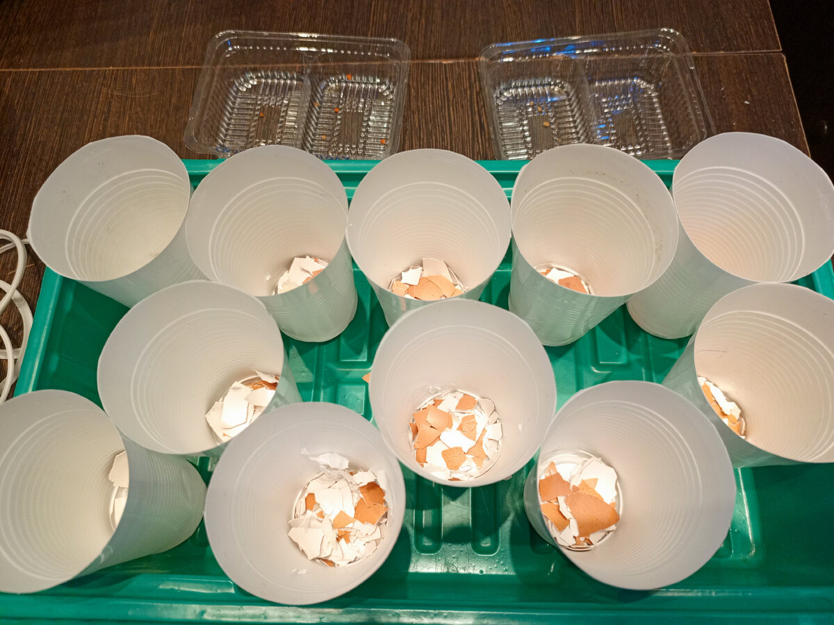 Делаем дренаж