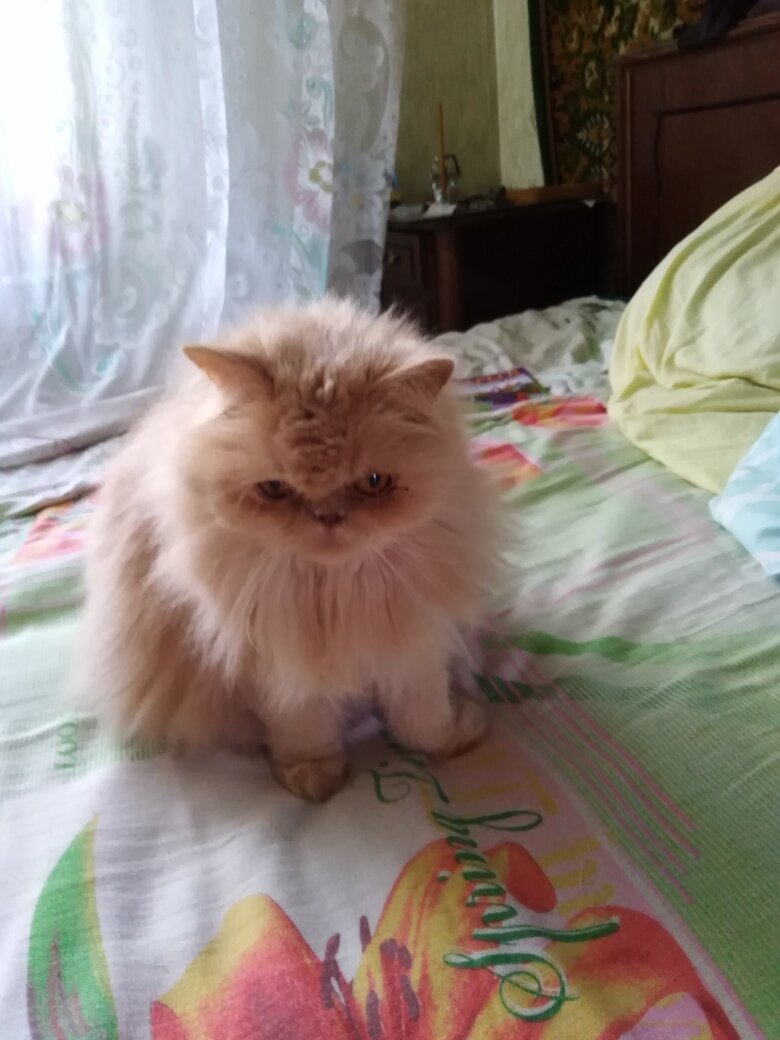 Фото автора.                         