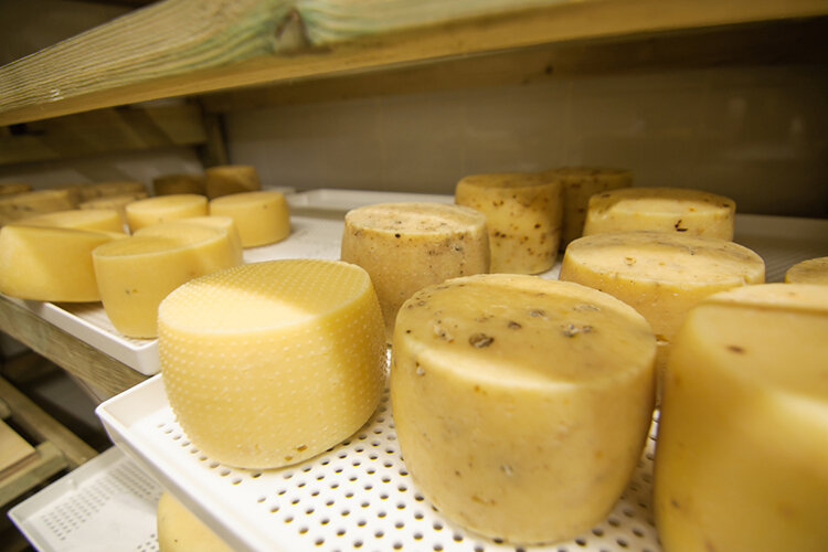    Народы Европы в Средневековье тоже использовали, помимо обычного сычуга, разнообразные весенние травы, дававшие сырам различный вкус, запах и плотность. От них ведут свое происхождение самые знаменитые сорта сыра Италии, Швейцарии и Британии Фото: «БИЗНЕС Online»