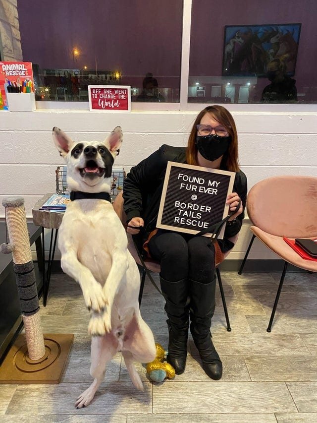 Сколько радости!