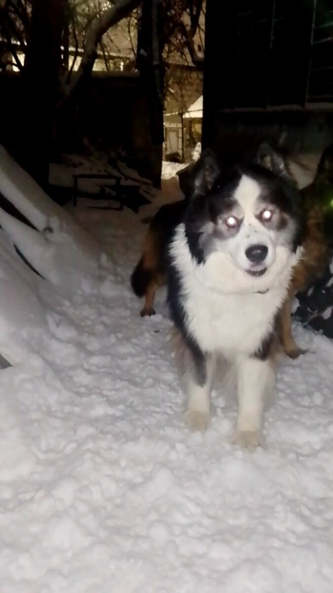 Личное фото