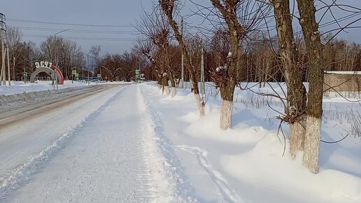 Пытаюсь пробраться к Даче в феврале 🏡 Дорожек нет 🤷 Скучаю по огородному сезону 🌱