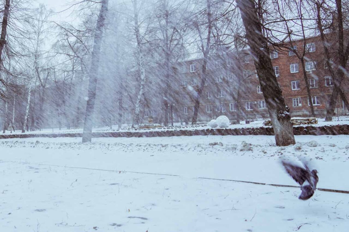 Осадки в воронеже