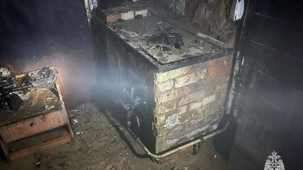     Кошка предотвратила страшную трагедию в Красном Сулине, где в одном из домов произошел пожар, сообщает пресс-служба МЧС России по Ростовской области.