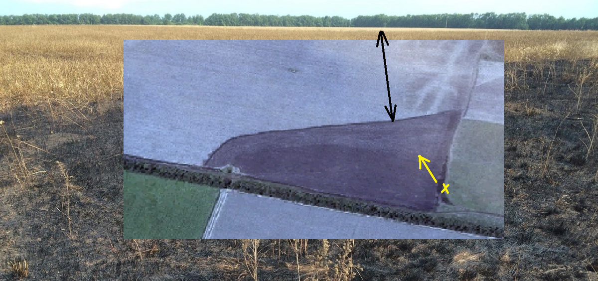 Верх чёрной стрелки показывает на несгоревшую пшеницу на снимке Олифанта - Миллера. Нижняя часть указывает границу сгоревшего\несгоревшего участков на спутниковом снимке. Желтым указано место и направление фотосъёмки.