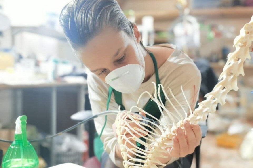    Таксидермистка из Петербурга "оживляет" мертвых кошечек и собачек. Фото: предоставлено "КП"