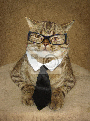 Лучше умный кот в семье, чем долговая яма.