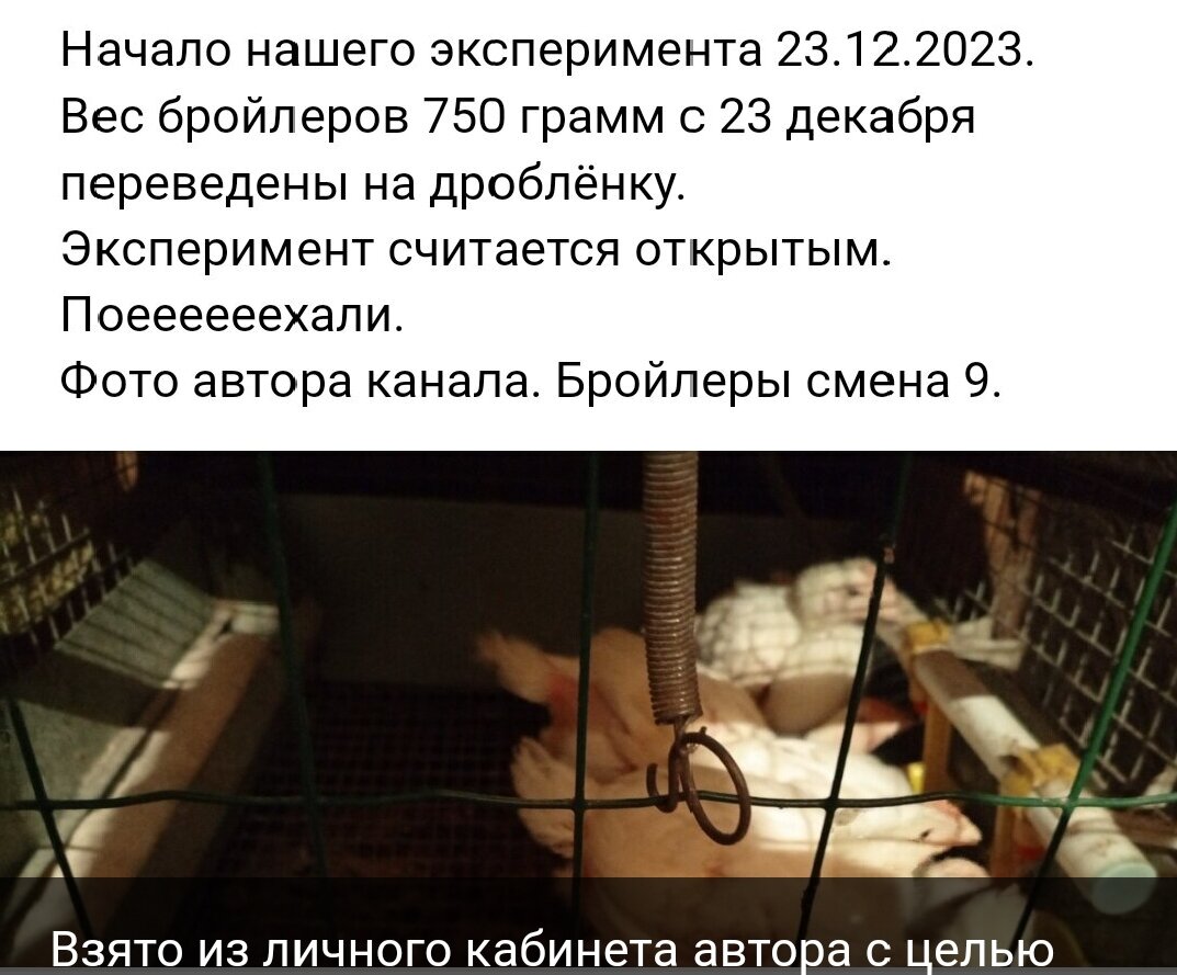 Взято из архива нашего канала с целью иллюстрации.