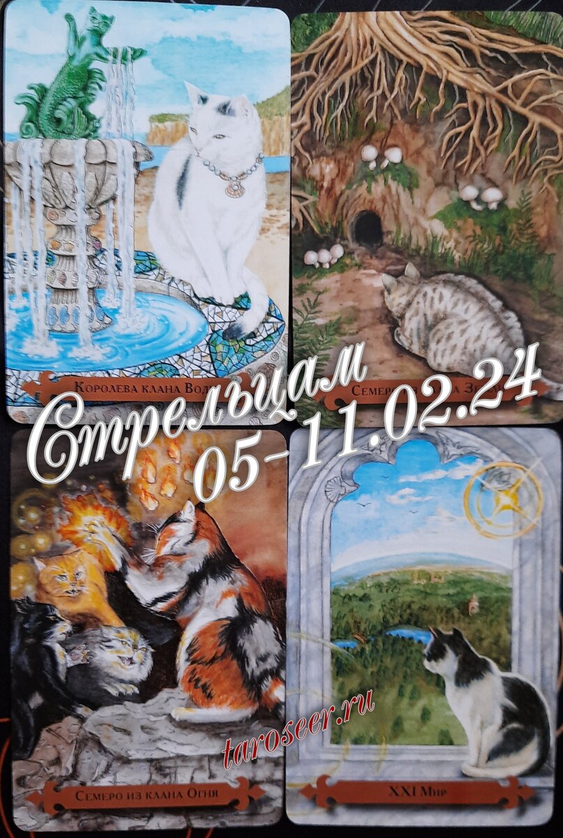 фото ЕлВита