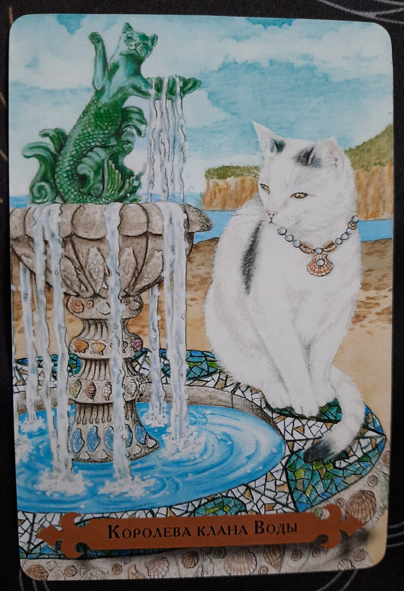 фото ЕлВита