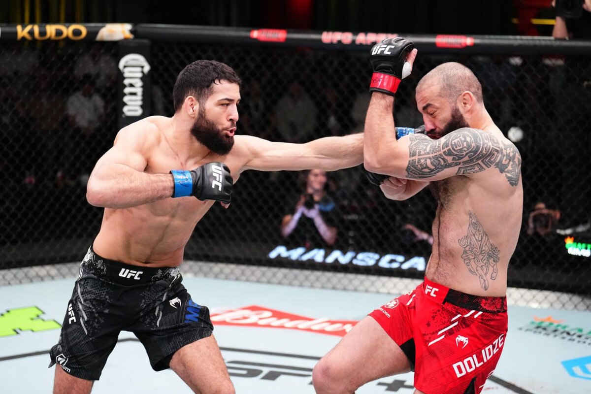 Ufc 4 — стандартное издание. Аксель шахбазян. Хасбулла магомедов ufc 4. Управление юфс 4. Управление юфс 4.