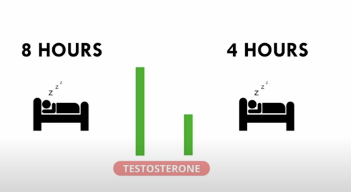 5 способов естественного повышения уровня тестостерона (для мужчин ...