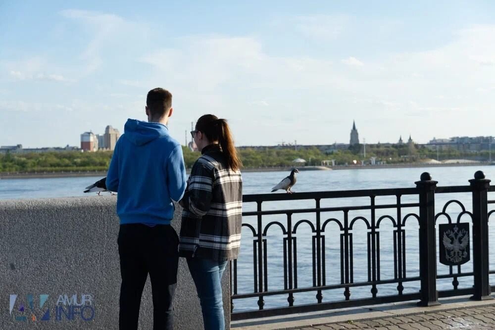 Выбирают пару на всю жизнь. Счастливые влюбленные. Выбирают пару на всю жизнь. Большая любовь. Обнимает девушку.