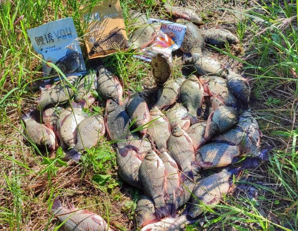 Тесто на карася "4 сезона"