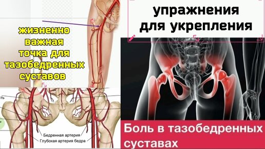 Перекрёсток бедренной артерии даёт жизнь тазобедренным суставам. Упражнения