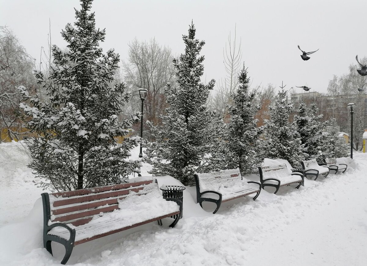 Барнаул, зима около моего дома