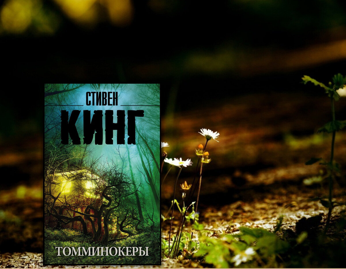 Стивен Кинг "Томминокеры". Коллаж сделан автором блога Прочитаю Расскажу. Фотографии взяты из открытых источников.