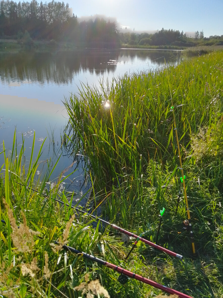 Любимое озеро Незабудки