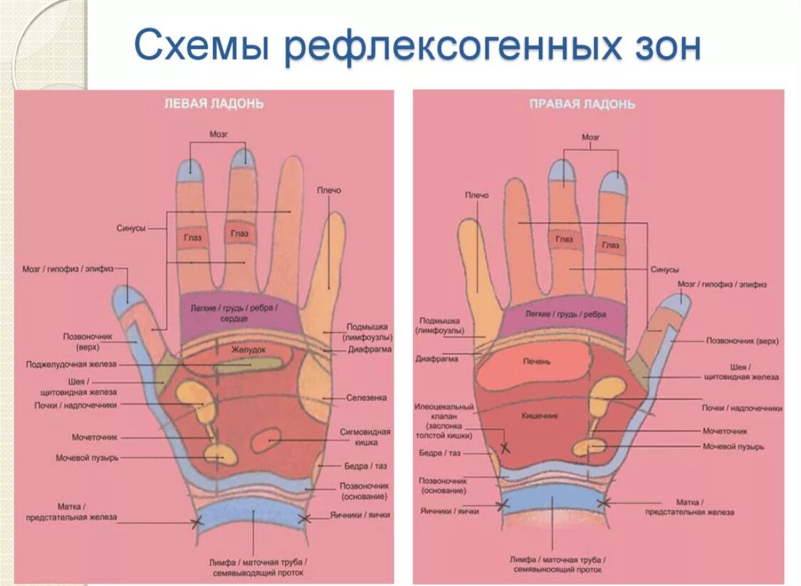 Точки на запястье руки